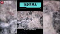 荷兰生物学家发明出<em>可</em>自愈<em>混凝土</em>，提高了<em>混凝土</em><em>的</em>使用寿命