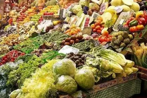 <em>课程标准</em>：<em>食品</em><em>检验</em><em>检测</em><em>技术</em><em>专业</em>《<em>食品</em><em>微生物</em>应用<em>技术</em>》<em>课程标准</em>