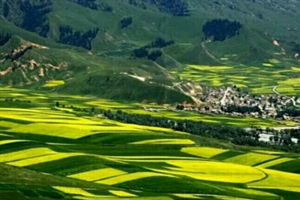 <em>生态</em><em>农业技术</em>、环境科学<em>专业</em>：《环境<em>生态</em>学》<em>课程</em><em>思</em><em>政</em><em>课堂教学</em><em>设计</em>