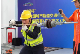 牵引供电规程图片32