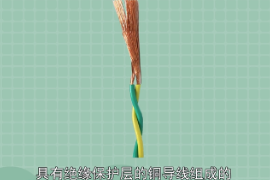 双绞线—一种综合布线工程中最常用的传输介质