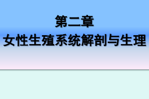 <em>课件</em>：《<em>妇产科</em><em>护理学</em>—第二章 <em>女性</em><em>生殖系统</em>解剖与生理》