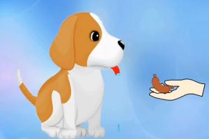 动物生理—<em>条件</em>反射的形成