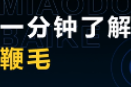 一分钟了解鞭毛