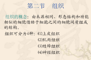 <em>课件</em>：中兽医专业《动物<em>解剖</em><em>生理</em>—组织》