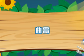 一分钟了解曲霉