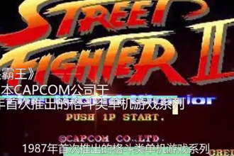 街头霸王—格斗类单机游戏