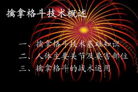 <em>课件</em>：警犬技术<em>专业</em>《<em>擒拿格斗</em>—<em>概述</em>》