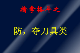 <em>课件</em>：警犬技术<em>专业</em>《<em>擒拿格斗</em>—防，夺刀具类》