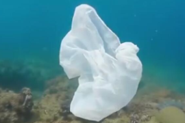 塑料污染<em>的</em>隐秘