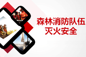 <em>课件</em>：林业<em>技术</em><em>专业</em>《森林<em>防火</em>—森林消防队伍》
