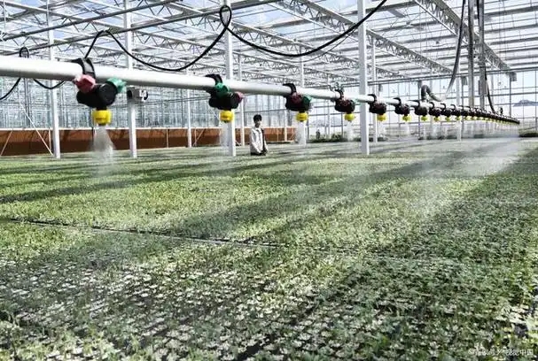 <em>现代</em>农业<em>技术</em><em>专业</em>：《农作物栽培<em>技术</em>—无土栽培<em>技术</em>中的生态责任与创新担当》<em>课程</em><em>思</em>政教学<em>案例</em>