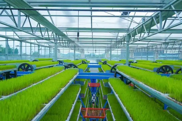 <em>现代</em><em>农业技术</em><em>专业</em>：《设施<em>农业技术</em>—设施农业环境智能调控<em>中</em><em>的</em><em>质量</em><em>兴农</em><em>与</em><em>生态</em><em>责任</em>》<em>课程</em><em>思</em><em>政教</em>学<em>案例</em>