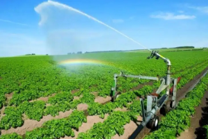 <em>现代</em>农业<em>技术</em><em>专业</em>：《农作物栽培<em>技术</em>—精准栽培<em>技术</em>中的质量兴农与生态责任》<em>课程</em><em>思</em>政教学<em>案例</em>