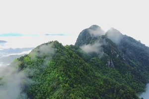 1781种植物＋625种动物！来看福建<em>漳州</em>虎伯寮自然保护区的雨林秘境