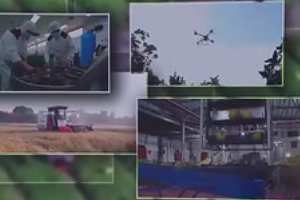 我国现代农业产业园总产值超3万亿元