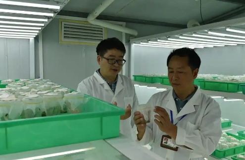 宋光龙植保工匠室：绿水青山的<em>守护</em>者，植保工匠精神的<em>传承</em>者