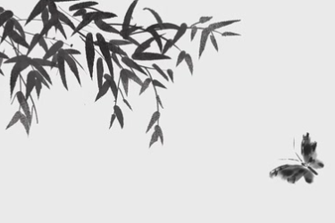 四库全书分为哪<em>四部</em>